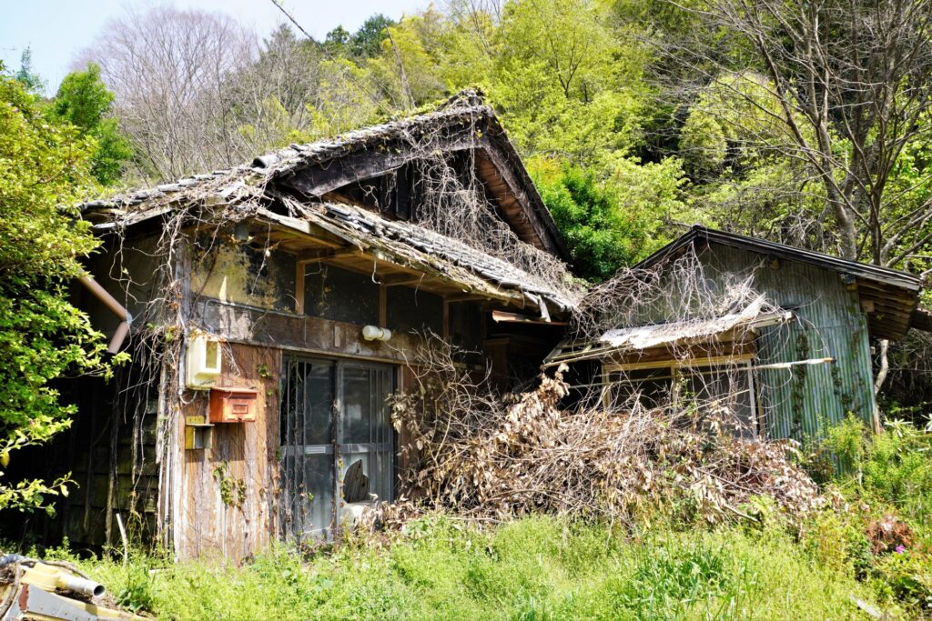 緑に囲まれた古い木造の空き家
